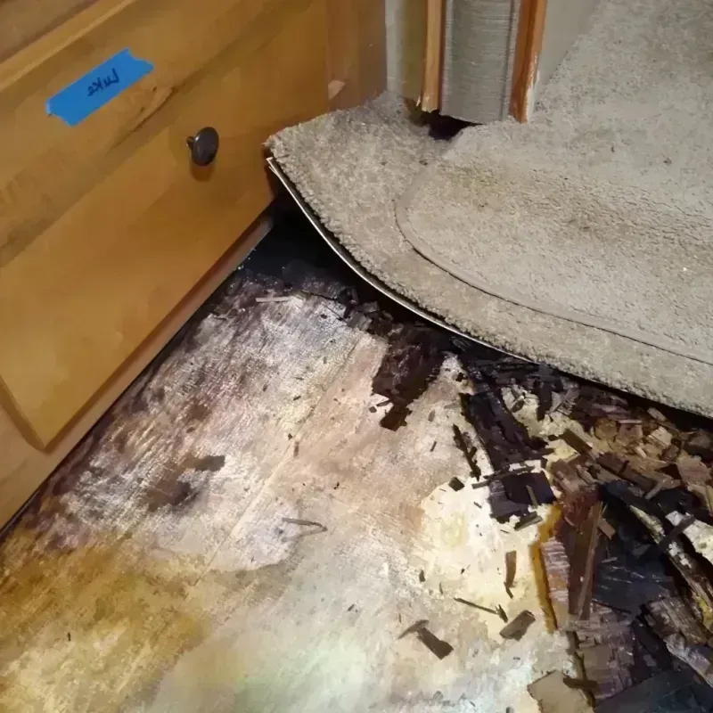 Wood Floor Water Damage in Pike County, AL